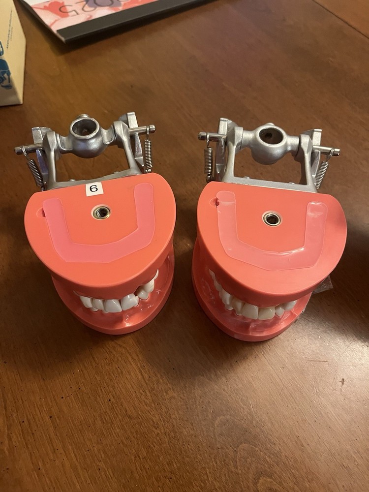 Kilgore Mcg 1 Fixed Dentoform x2