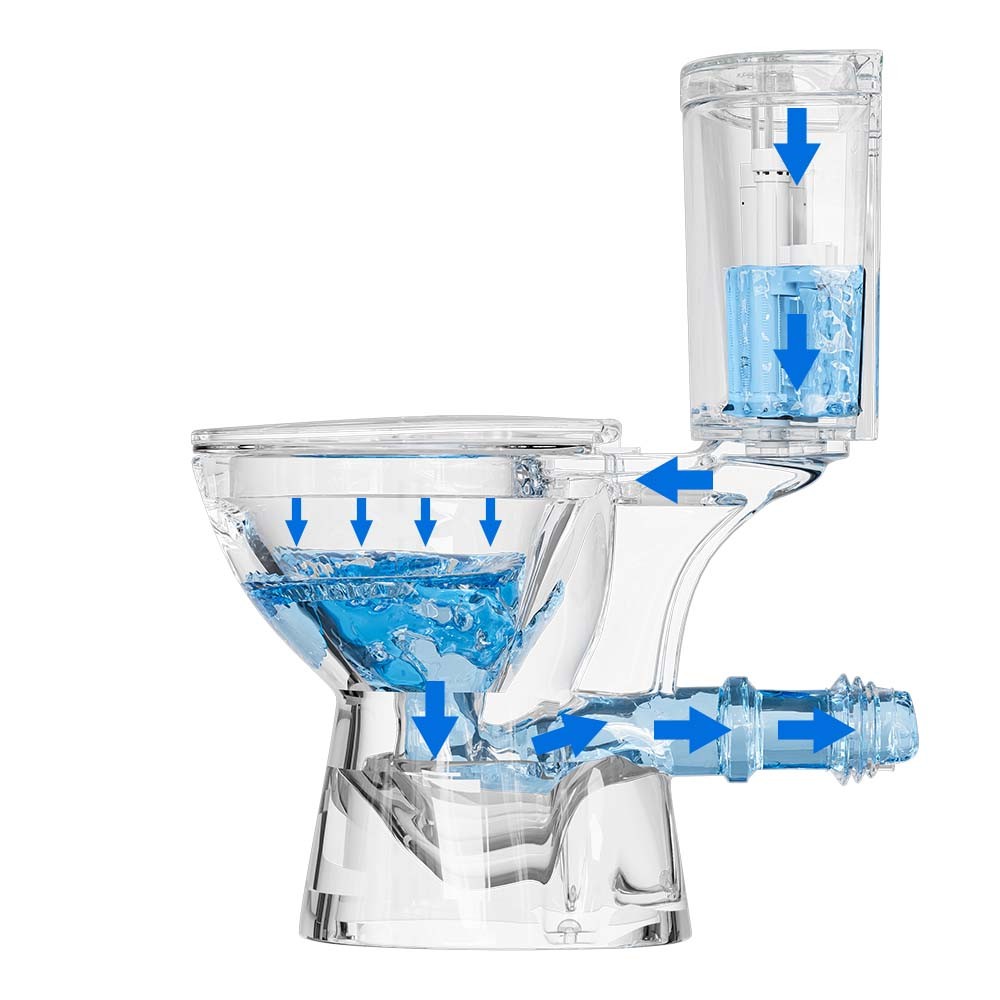 19 Inch Tall Toilet Rear Discharge Toilet with Dual Flush 1/1.6GPF for Seniors