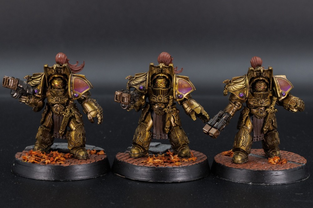 Horus Heresy Custodes Army Well Painted