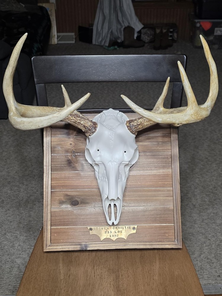 Skull Master Antler Mounting Kit in Classic White - Universal Fit & Easy Setup