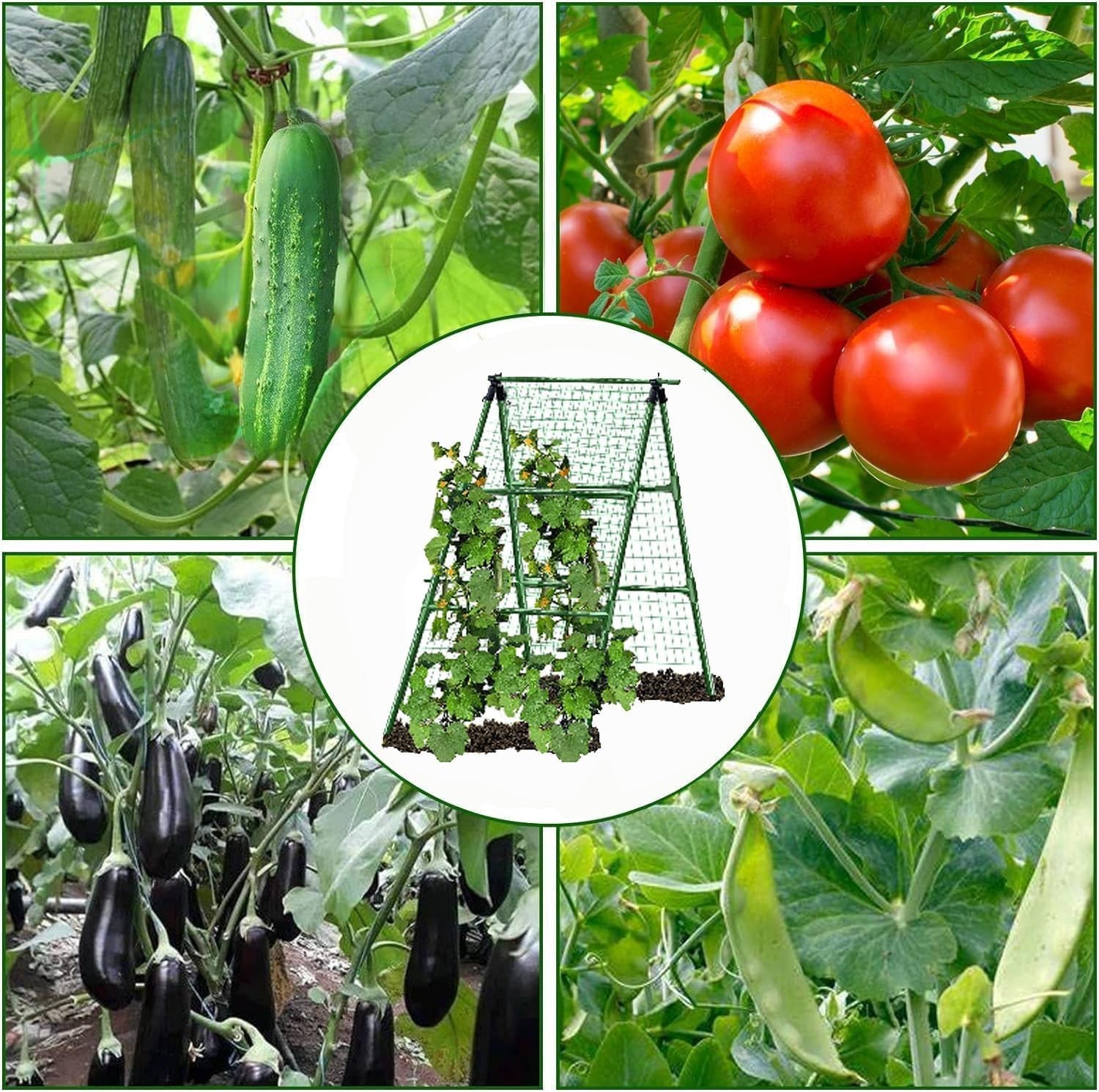 Cucumber Trellis Garden Trellis Arch Trellis, Tall Metal Trellis for Climbing...