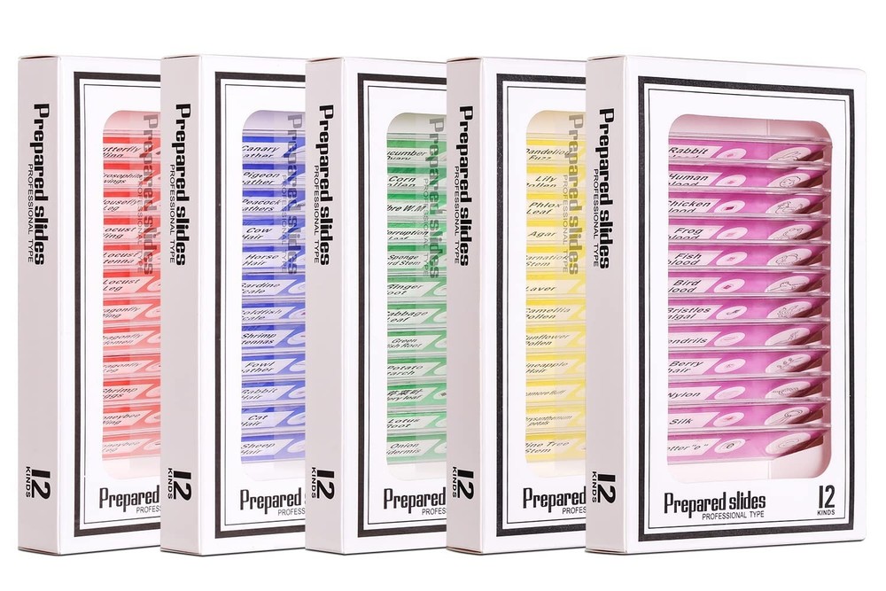 60PCS Prepared Microscope Slides for Kids – Safe & Engaging Science Exploration