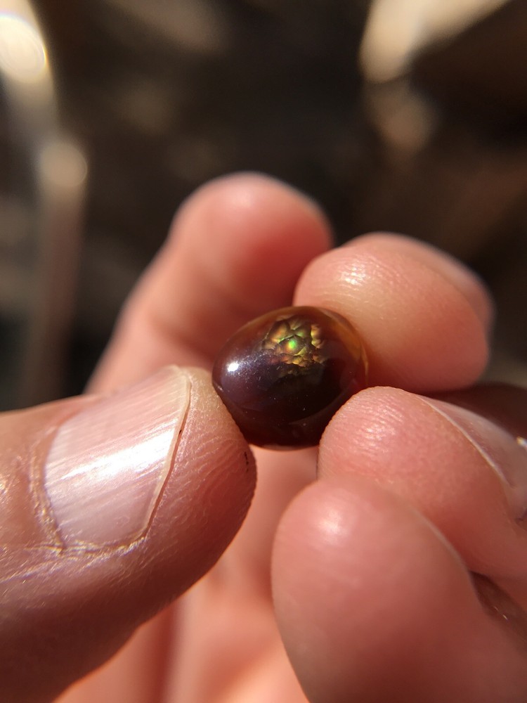 Deer Creek Fire Agate Cabochon