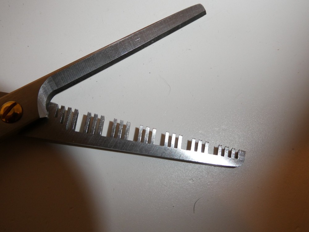 Rare Arius Eickert Professional Shears, 22 Notched Tooth Blender Thinning NEW