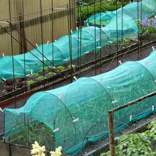 Pcs Garden Clips, Greenhouse Clamps, Stainless Steel 36 36 PCS Garden Clips