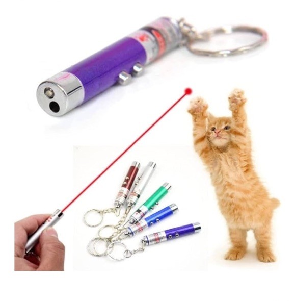Laser Pointer Pen Visible Red Beam Lazer Light Cat dog presentation