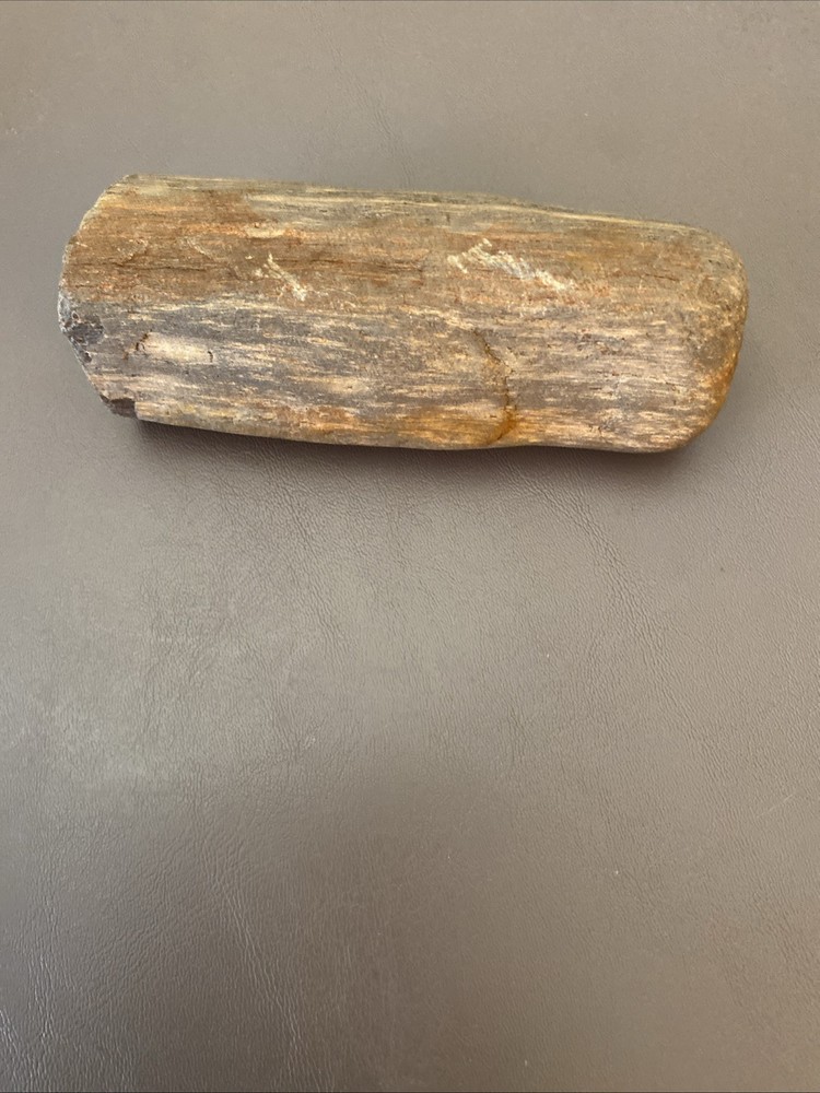 Petrified Wood