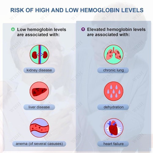 Hemoglobin Test Kit Hemoglobin Analyzer, Hemoglobin Meter with 25 Test Strips