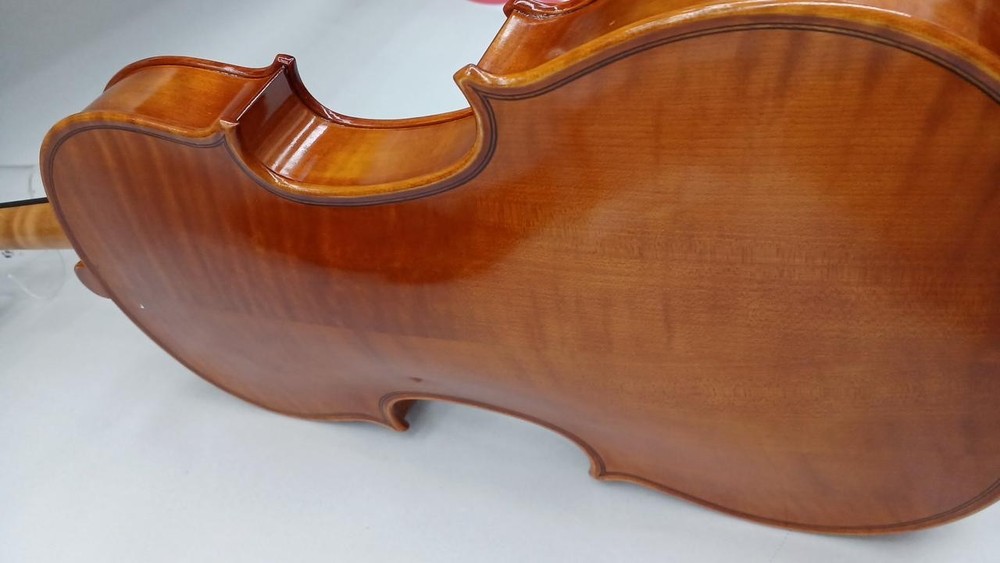 Andreas Eastman Vl80 Violin