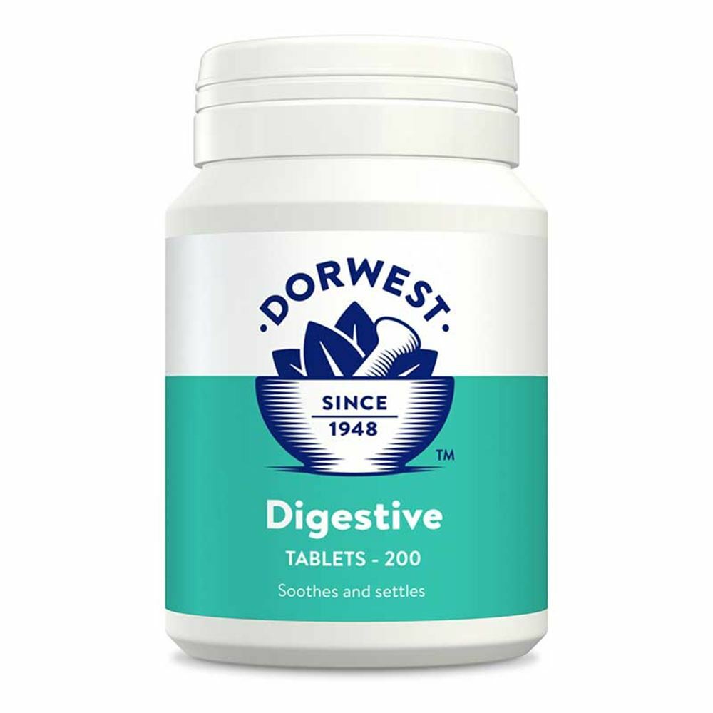 Digestive Supplement 100 tablets