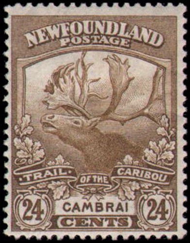 Canada-Newfoundland #125 MH