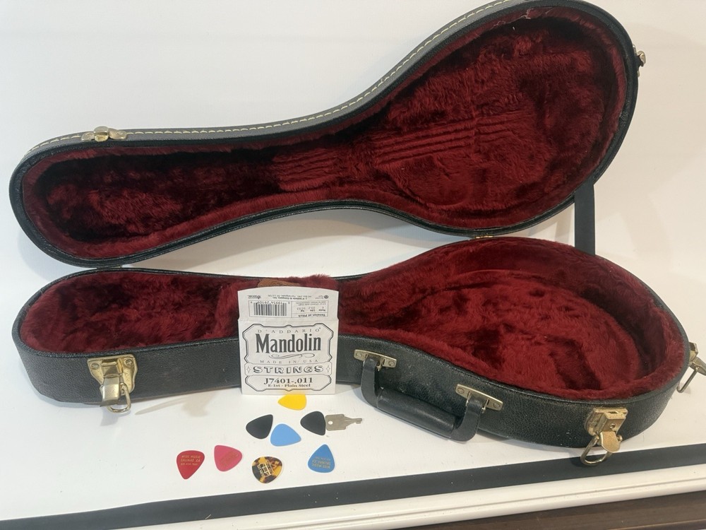 Kentucky KM-150S Mandolin Sunburst with soft case