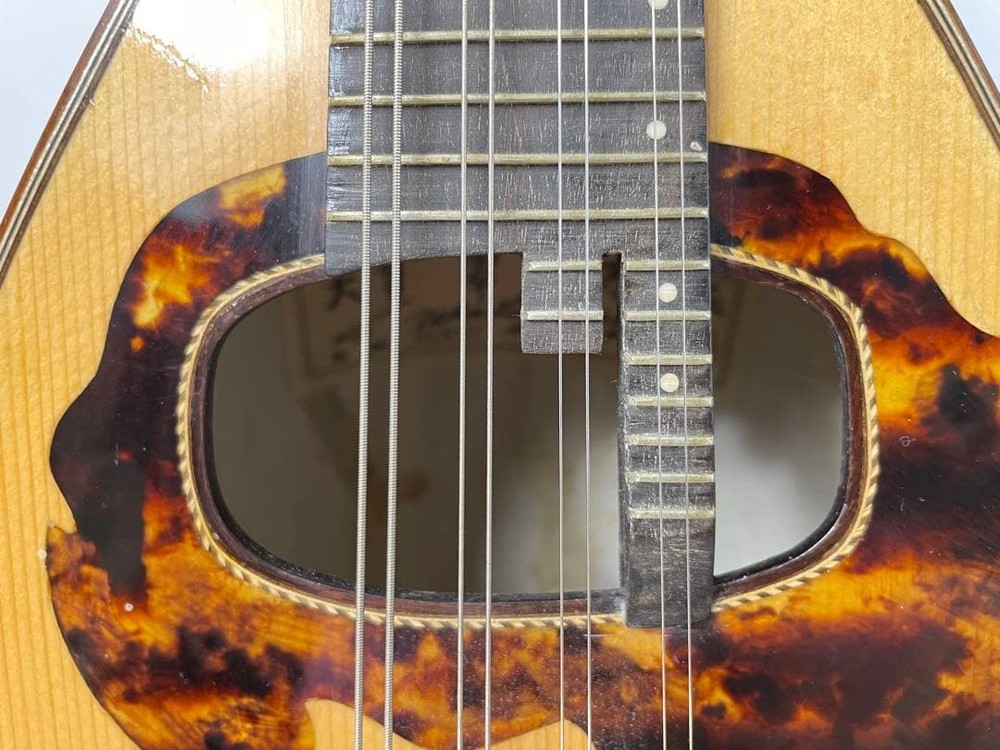 Watanabe/Watanabe High-end mandolin