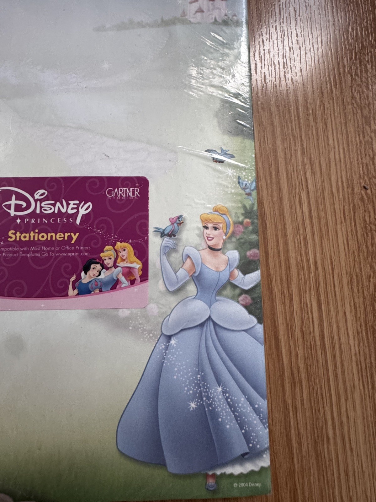Gartner Studios Disney Princess Stationary Paper 100 Count Printer Paper new