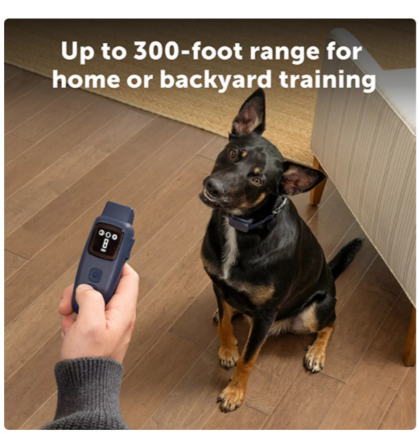 PetSafe Basic Dog Training Collar Remote 300ft Waterproof Rechargeable
