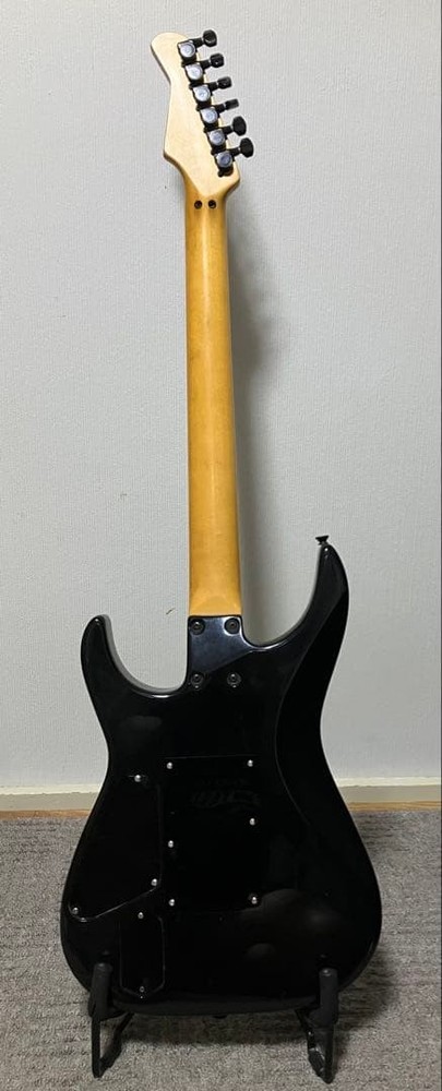 Fernandes HEAD CRASHER Floyd Rose Active #QY67ZM