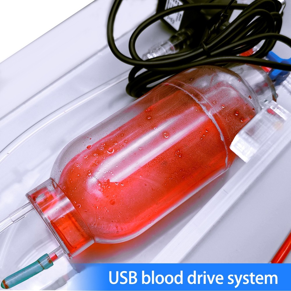Vascular Surgery Simulation Model With Simulated Blood Flow For Medical Training