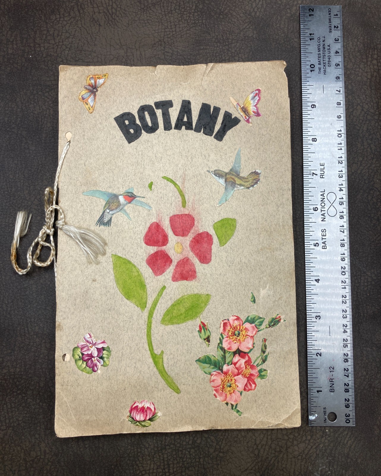 Antique 1930 Child's Botanical Pressed Flower Plant Specimen School Project Book