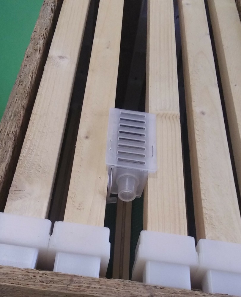 Spehar Queen Cage, Multi Use, 100 pcs, Made in U.S.A.