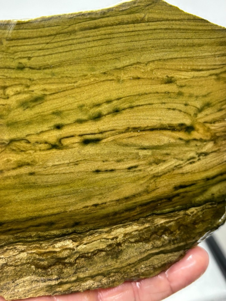 Lizard Skin Jasper slab for Cabbing Lapidary Combo Ship Avail