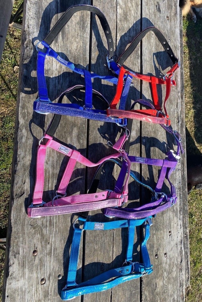 Nylon horse halter w/glitter overlay. assorted colors