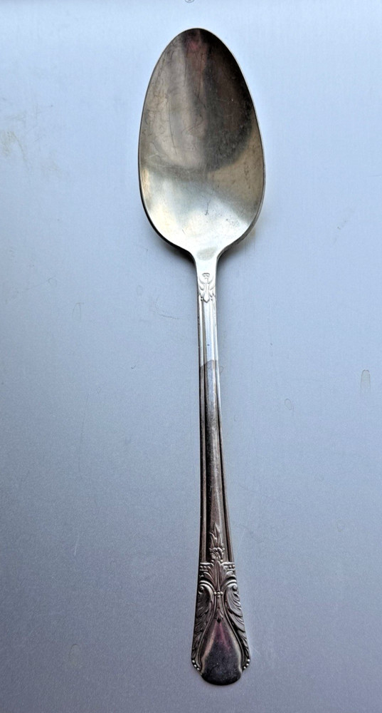 Wm Rogers Mfg Co Original Rogers Avalon Cabin Serving Spoon Vintage Silverplate