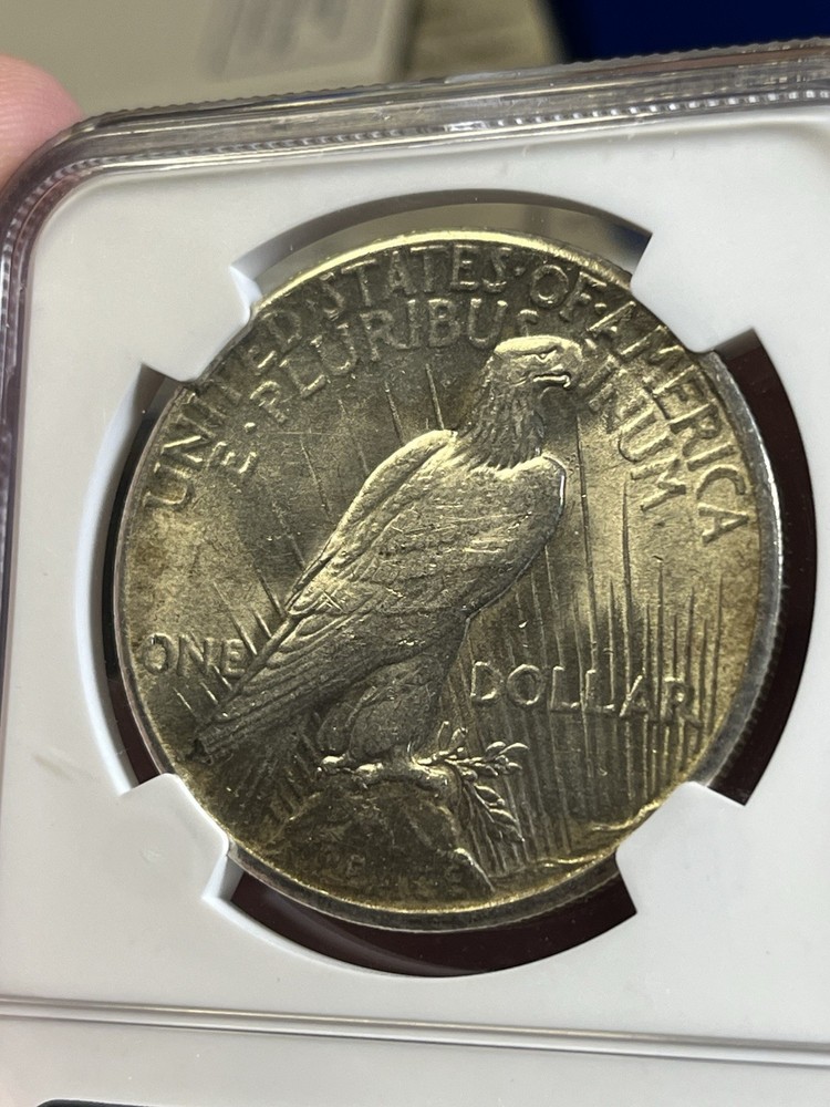 1926 PEACE DOLLAR NGC MS 61