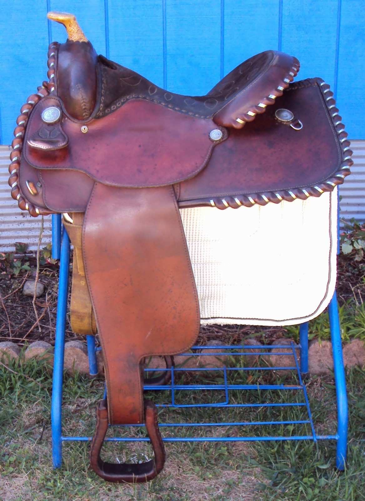 CIRCLE Y Western Show Saddle - 15" - SILVER CONCHOS - Padded Seat - BEAUTIFUL!