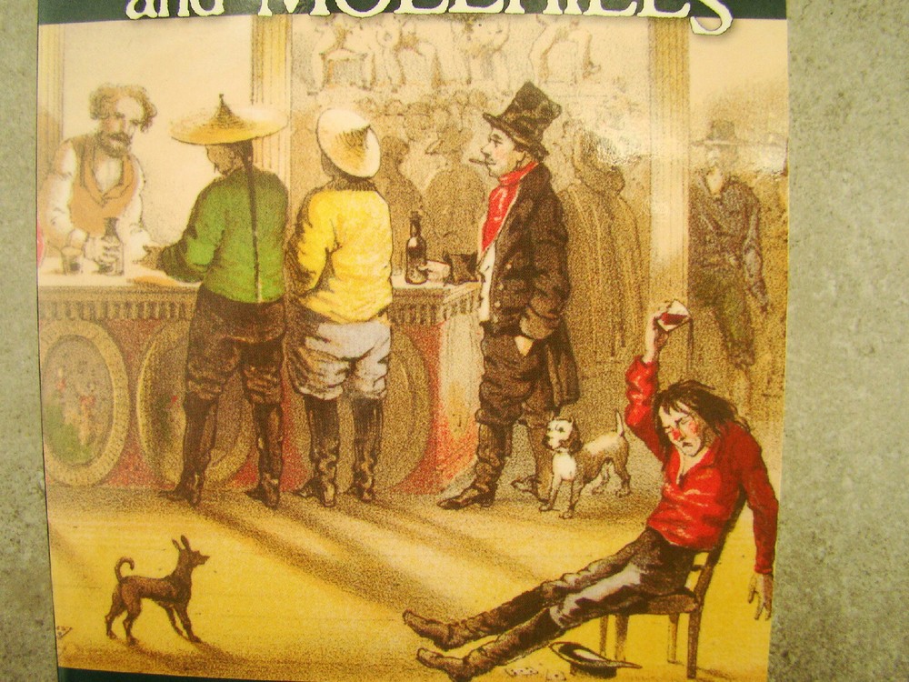 Mountains And Molehills By Frank Marryat
