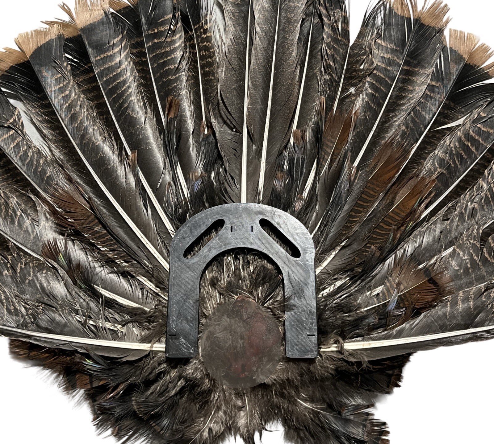 Turkey Hunting Fan Decoy Mount - Wall Mount, Hunt, & Preserve - Fan Not Included