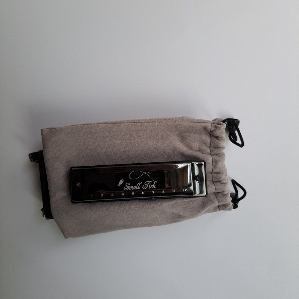 Small Fish 10‑Hole Diatonic Harmonica – Beginner Model w/ Box