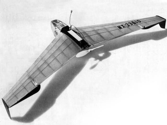 Alien Free Flight CO2 Flying Wing 30" RC Model Airplane Printed Plans &Templates