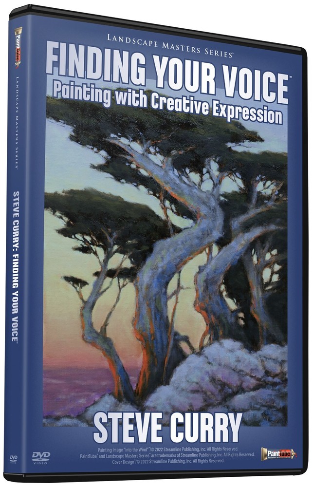 Steve Curry Finding Your Voice Art Instruction DVD