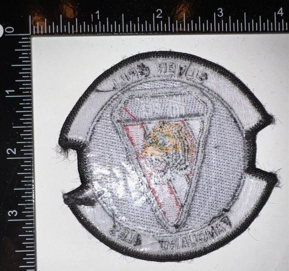 USAF US Air Force 76th Space Control Squadron Vanguard Ales Silver Grill Patch
