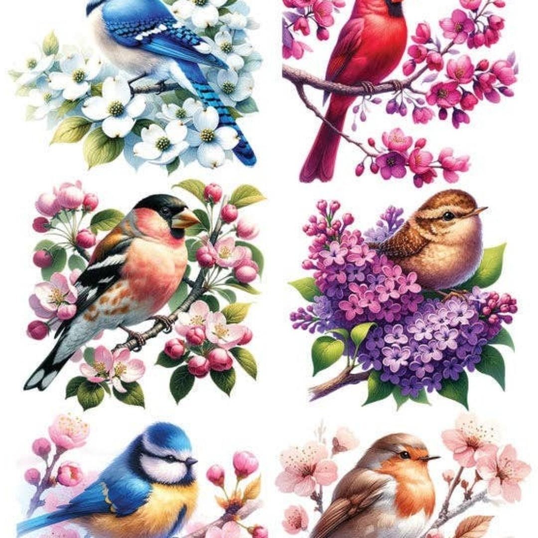 Violette Stickers - Colorful Birds & Flowers Sticker Sheet - Planners & Crafts
