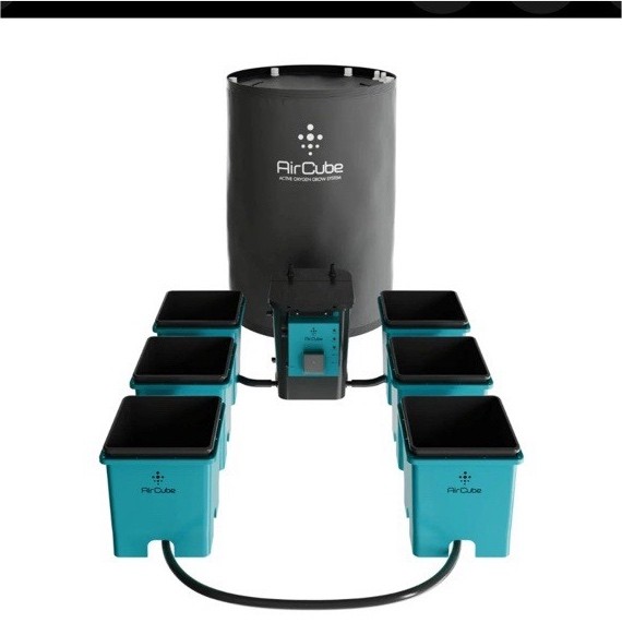 AirCube Active Oxygen Ebb & Flow Grow System 6 Site Plastic Teal Black
