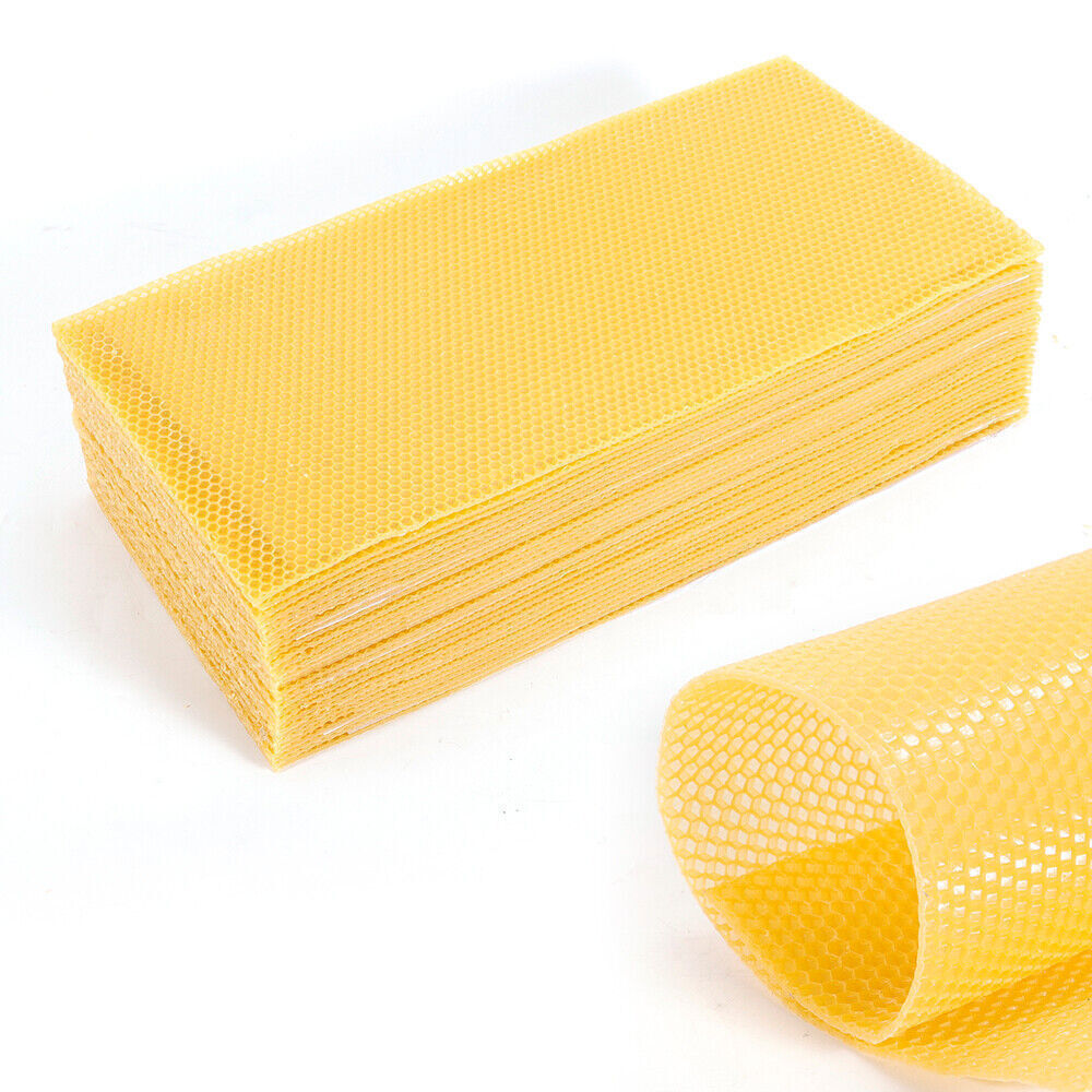 30 Honeycomb Sheets Bee Wax Foundation Beehive Frames for Beekeeping Brood Box