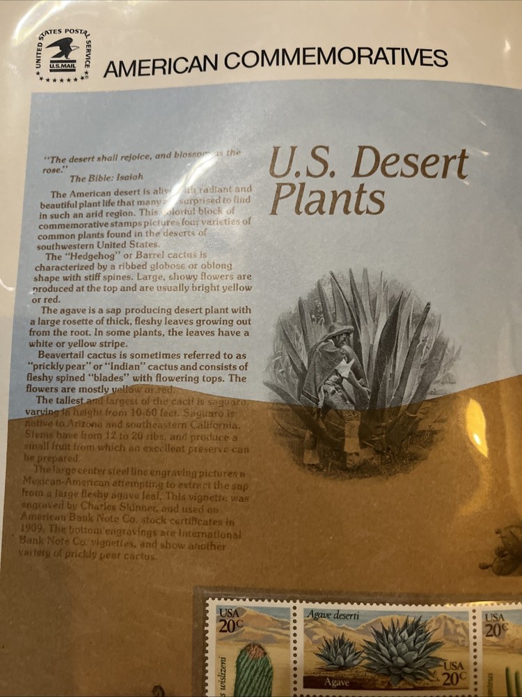 1981 Desert Plants catus agave CP156 commemorative panel