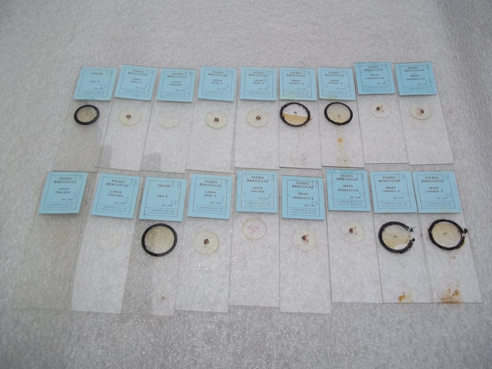 Vintage Glass Microscope Slides - 6 x Boxes