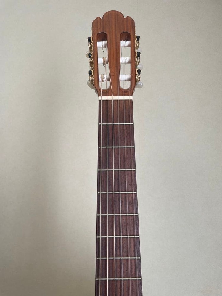 Antonio Sanchez Classical Guitar With Case, Cedar Top, 2013 Model