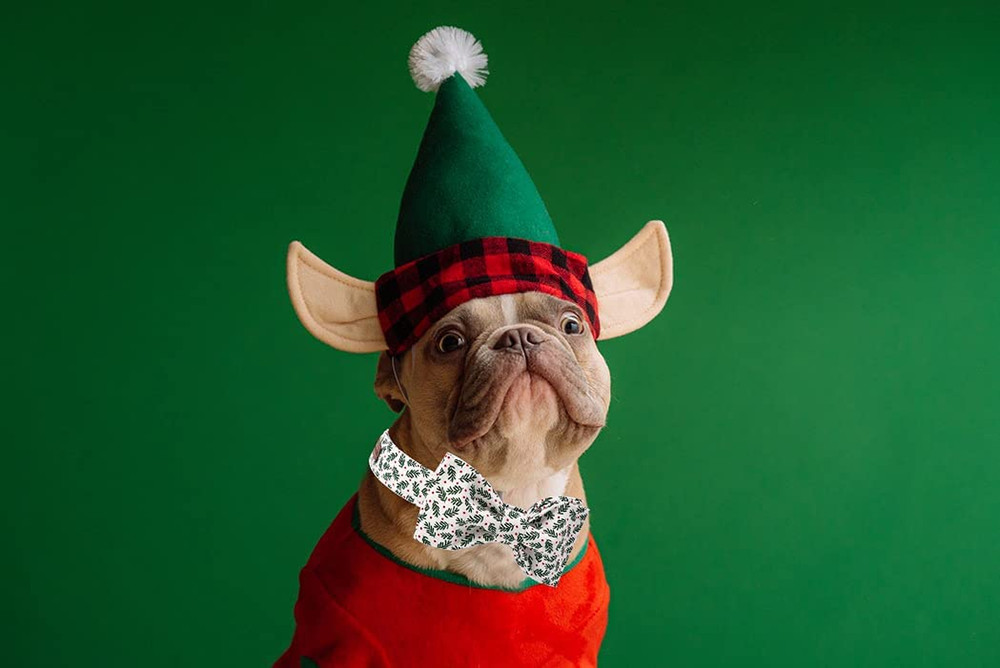 Chic Holiday Dog Collar with Bowtie - Adjustable & Comfy for All Sizes
