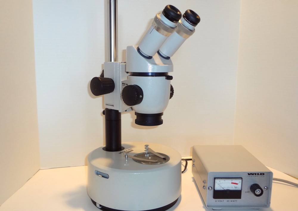 WILD LEICA M3 STEREOMICROSCOPE WITH TRANSMITTED LIGHT BASE **NICE**