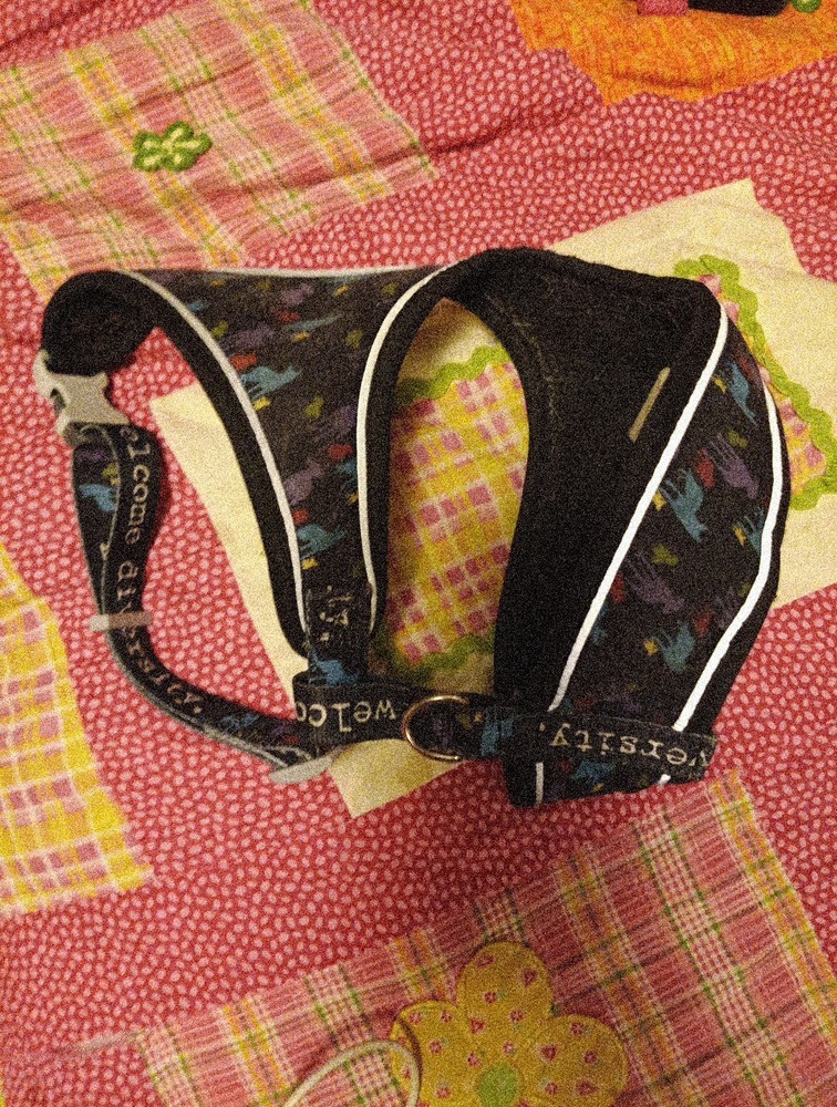 dog harness medium Welcome Diversity