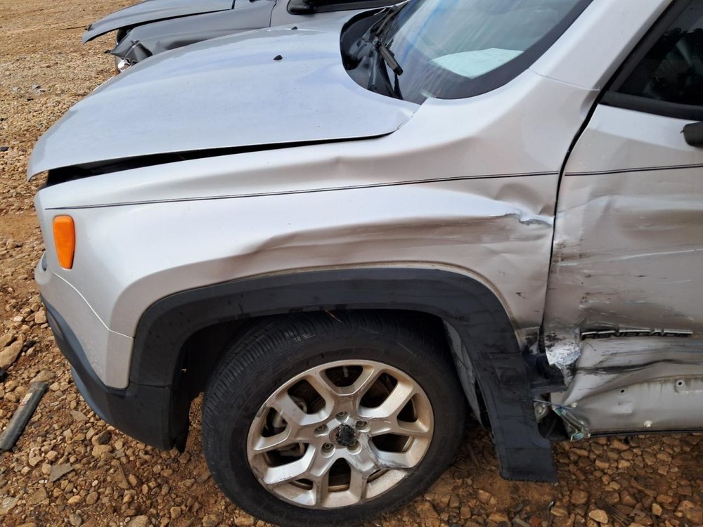 RENEGADE 2015 Glove Box 4802012