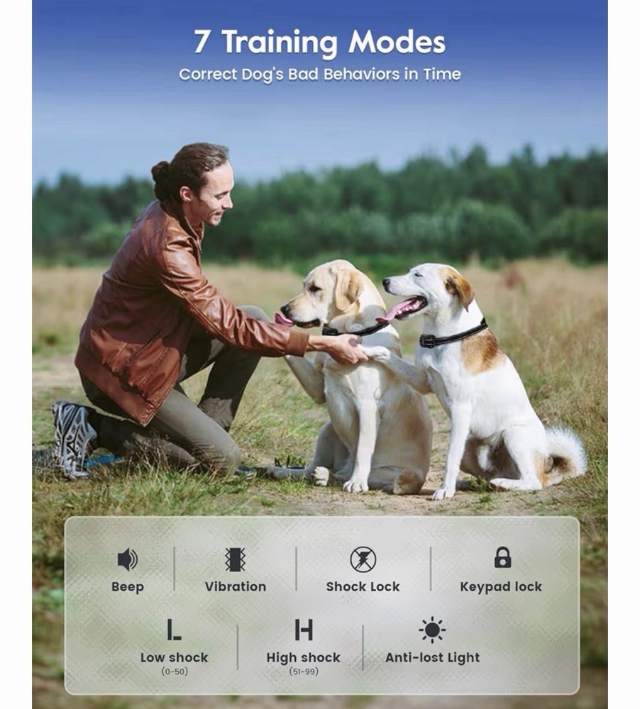 slopehill dog training collar 4200 Ft