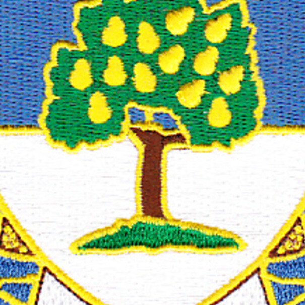 304th Infantry Regiment PatchH