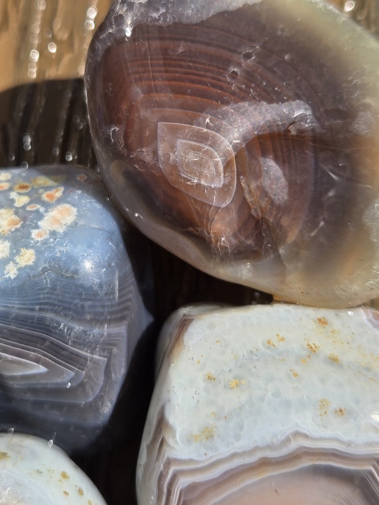 Botswana Agate Selects - SUPERNOVA - Rough, Natural, Not Polished A+ Grade