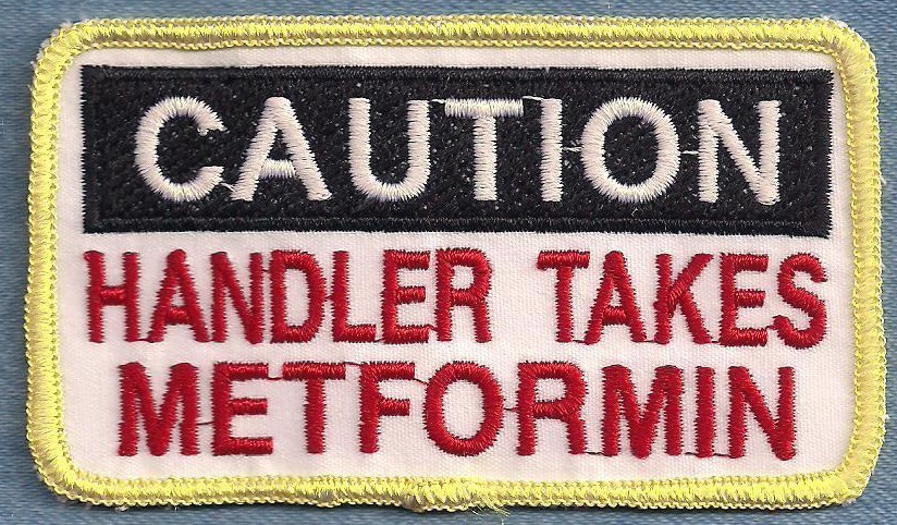 CAUTION HANDLER TAKES METAFORMINE - service dog vest patch