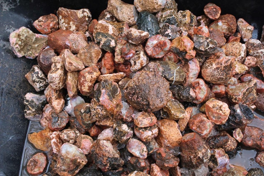 Morocco Berber Agate 5 lb Random pull rough lot