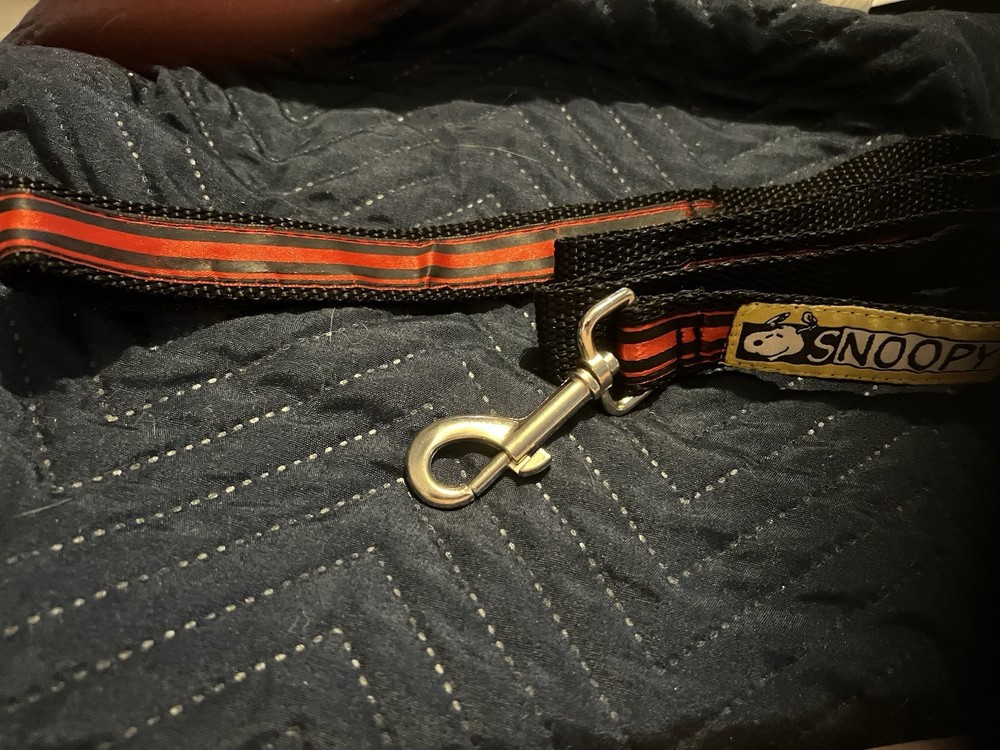 Snoopy Dog Leash - EUC